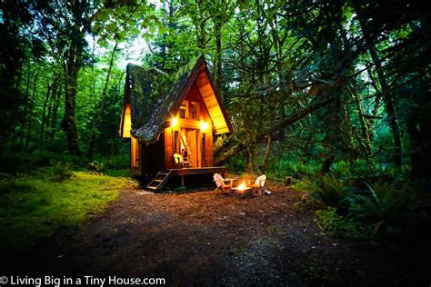 Enchanted the magical cabin